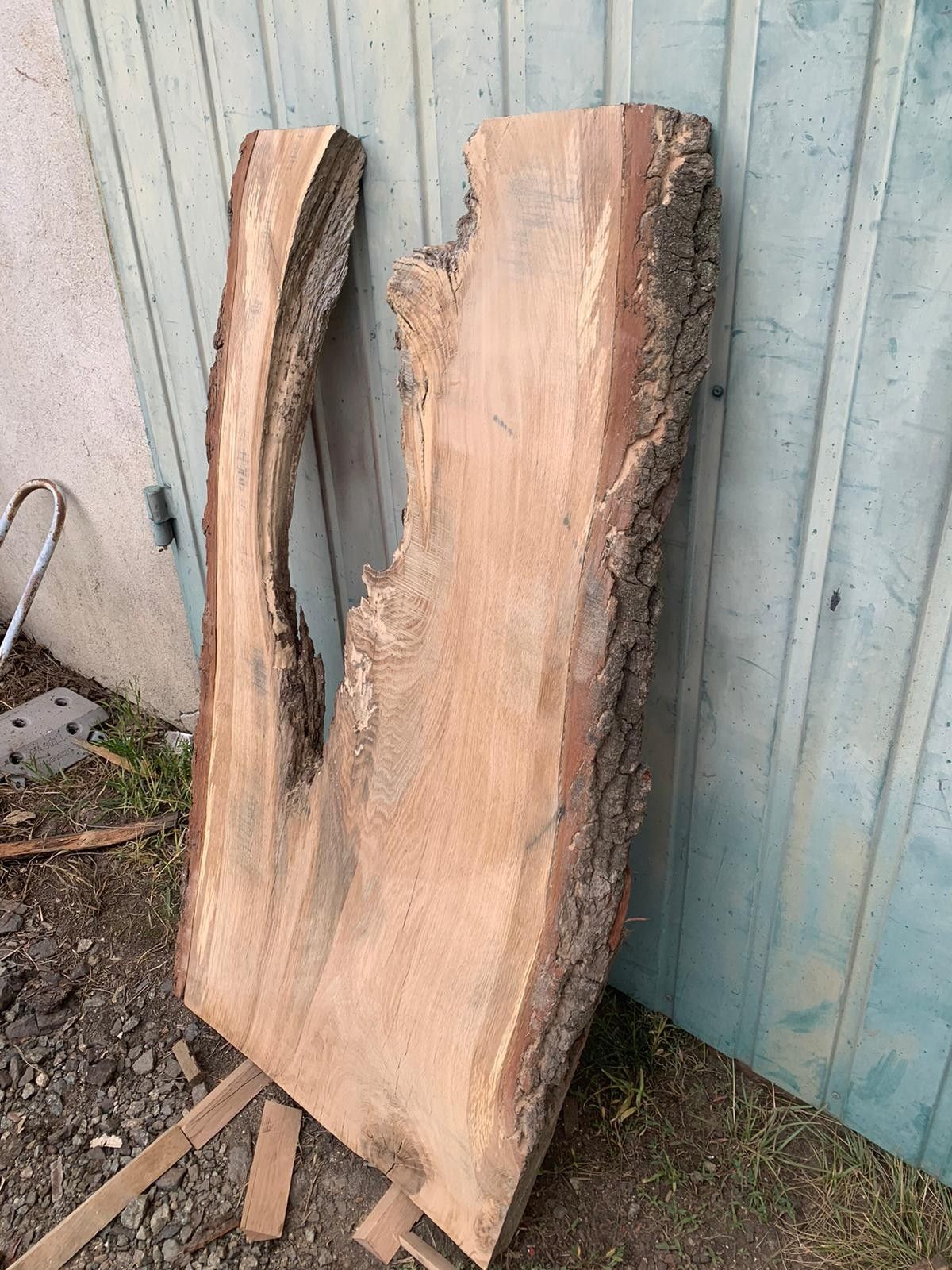 Monolit dębowy 120x50-55x5cm, idealny pod żywicę, przechowywany 5 lat, DIY