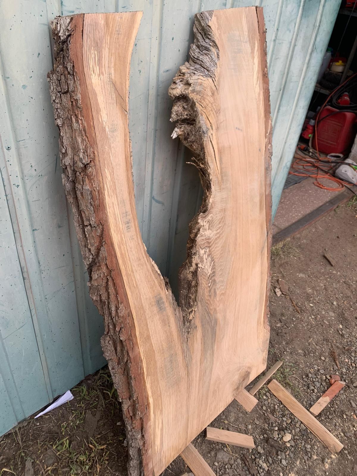 Monolit dębowy 120x50-55x5cm, idealny pod żywicę, przechowywany 5 lat, DIY