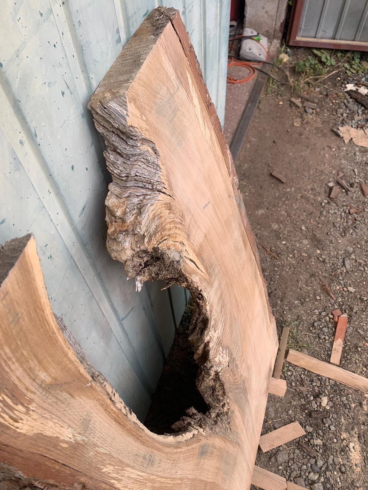 Monolit dębowy 120x50-55x5cm, idealny pod żywicę, przechowywany 5 lat, DIY