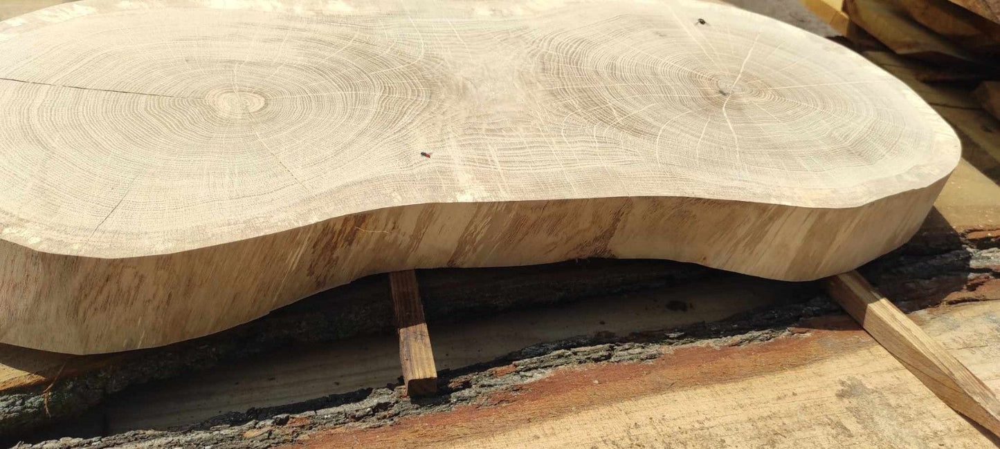 Dysk z litego dębu 82x33-40x7,5cm, szlifowany, dwurdzeniowy, DIY