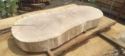 Massive Eichenscheibe 80x34x8cm, geschliffen, Dual-Core, DIY