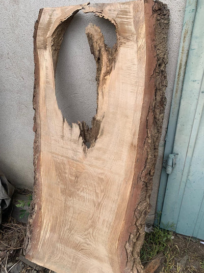 Eichenmonolith 120x40-45x5cm, ideal für Harz, 5 Jahre lagerfähig, DIY