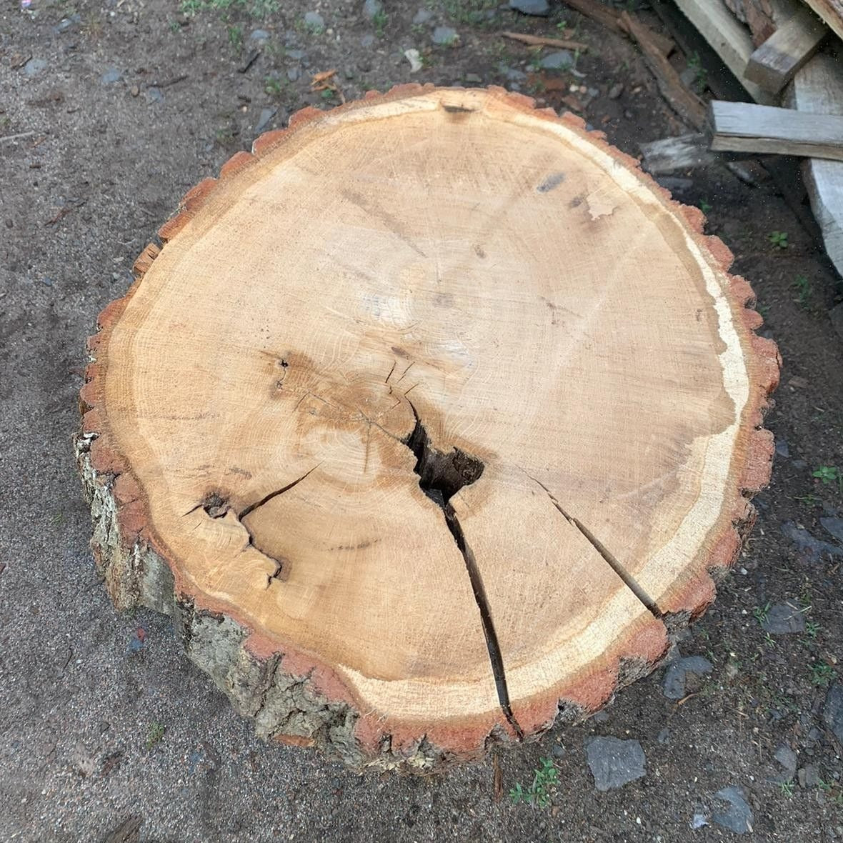 Dysk z litego dębu 52x45x7cm, idealny do żywicy, majsterkowania