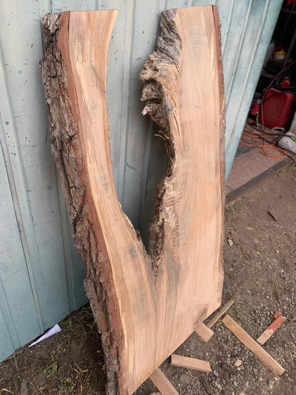 Eichenmonolith 120x50-55x5cm, ideal für Harz, 5 Jahre lagerfähig, DIY