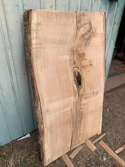 Eichenmonolith 120x70x5cm, ideal für Harz, 5 Jahre lagerfähig, DIY