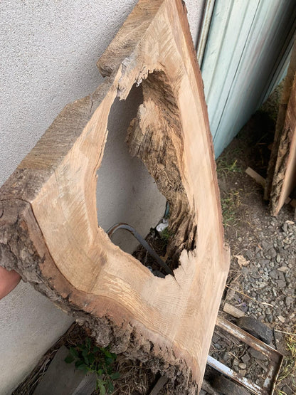 Eichenmonolith 120x40-45x5cm, ideal für Harz, 5 Jahre lagerfähig, DIY