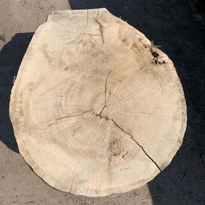 Solid oak wood disc 86x75x8cm, ideal for epoxy resin, stored for 5-6 years, DIY