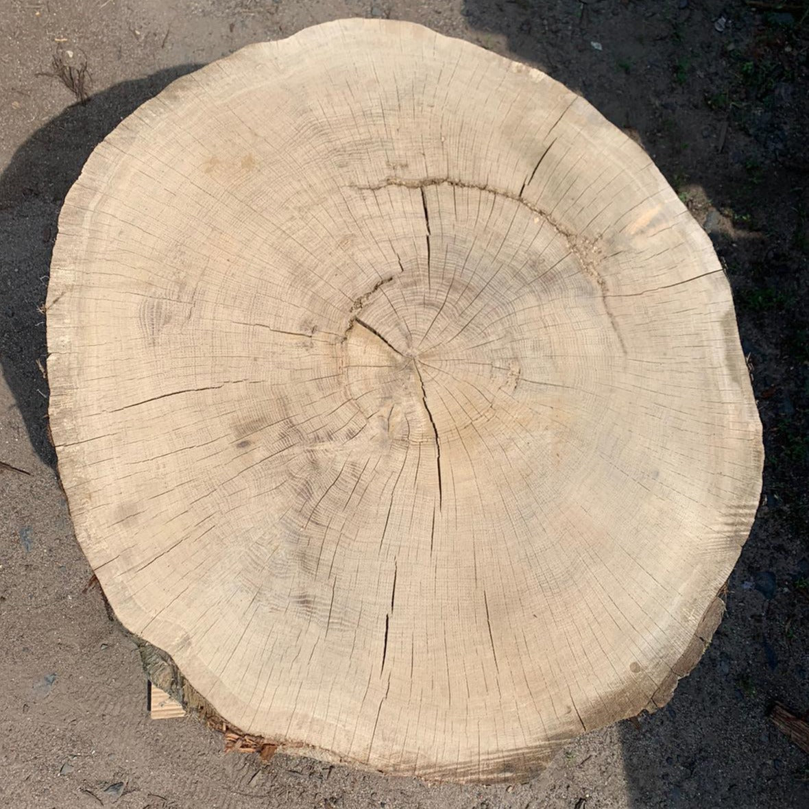 Solid oak disc 82,5x73x8cm, ideal for epoxy resin, stored for 5-6 years, DIY