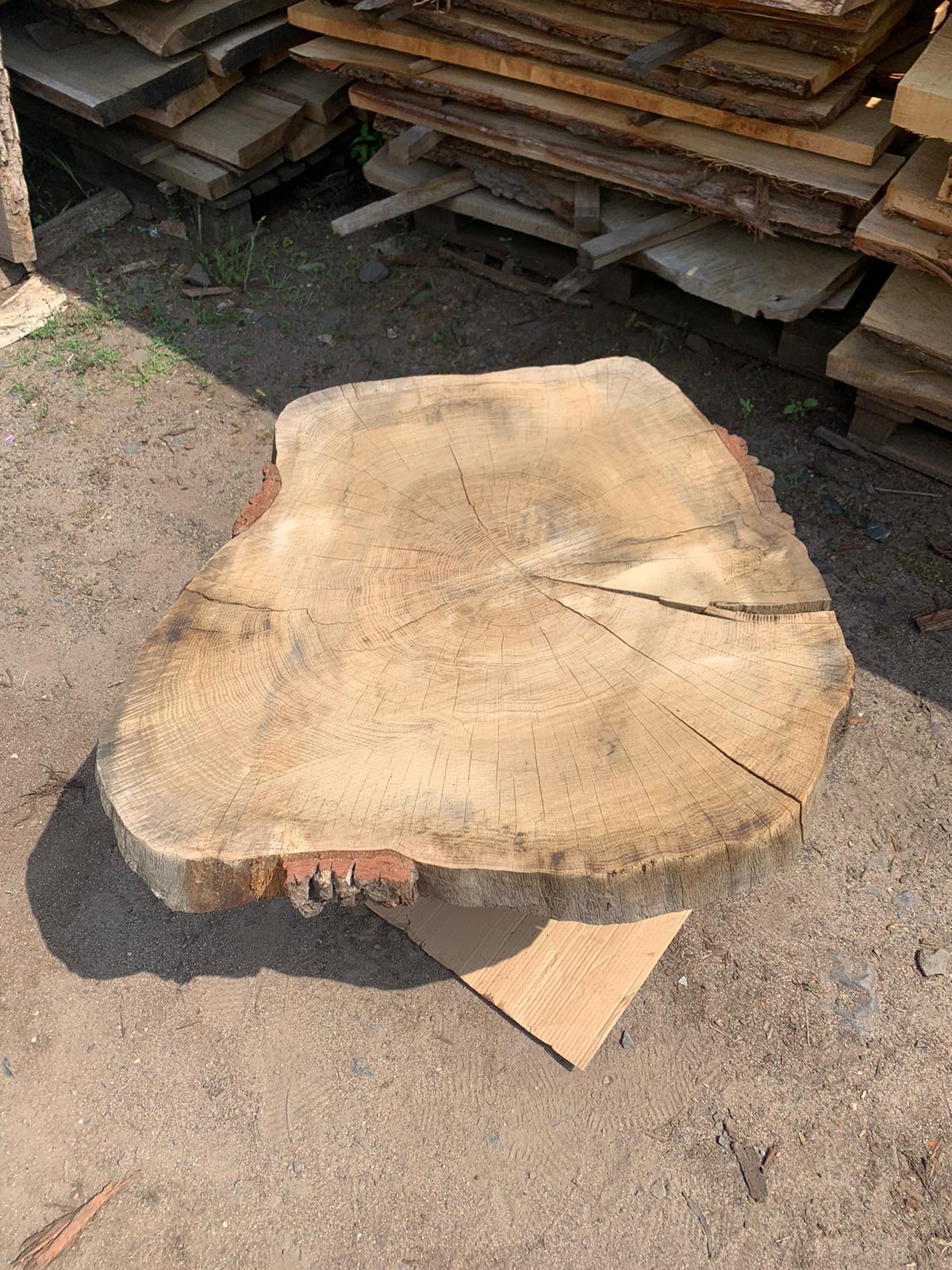 Solid oak disc 100x92x8cm, ideal for epoxy resin, stored for 5-6 years, DIY